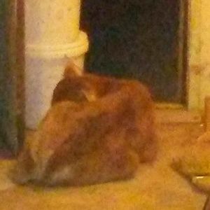 Meet your Posher, Leocadio